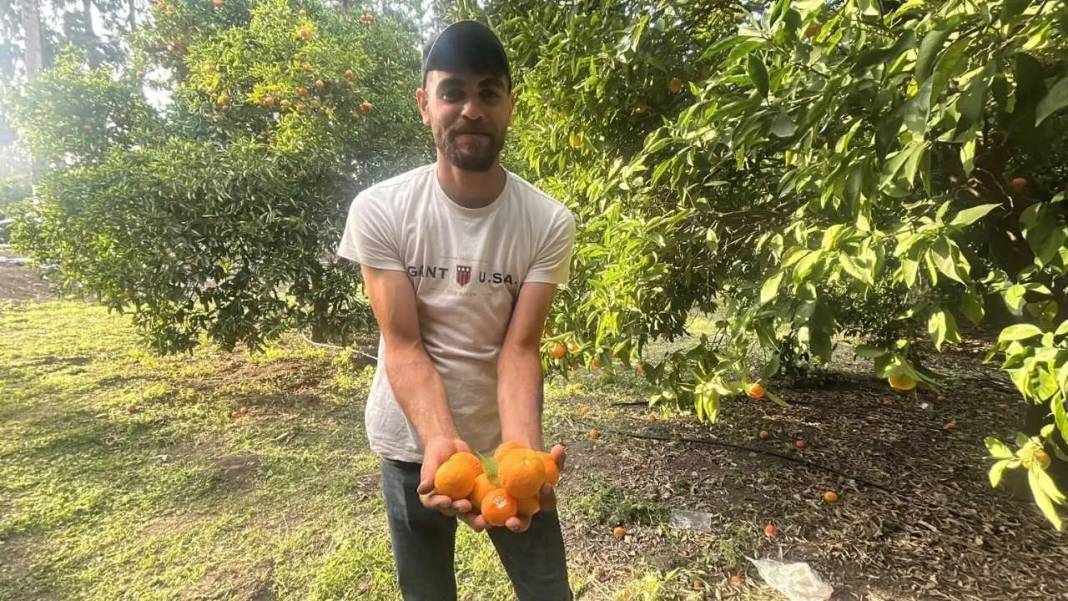 Hatay’da Dalından Narenciye Toplatan Festivale Yoğun İlgi! 2